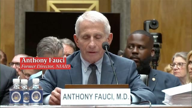 Fauci blasts 'unhinged' Rand Paul as he explains he'll be pleading the Fifth Amendment